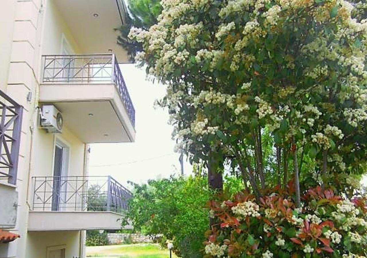 Areti & Maria Apartments 伊西翁 外观 照片